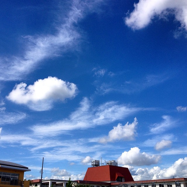 現場の空